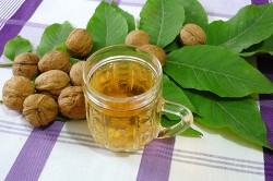 Настойка из листьев грецкого ореха
