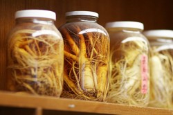 Настойка женьшеня Настойка женьшеня