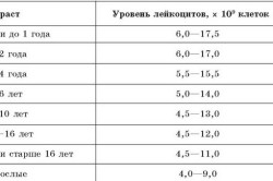 Нормальные значения лейкоцитов в крови Нормальные значения лейкоцитов в крови
