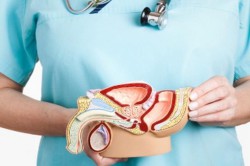 Осмотр полового члена Осмотр полового члена