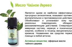 Особенности масла Особенности масла