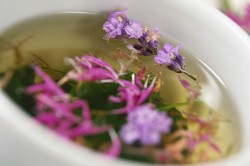 Отвар шалфея