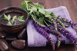 Отвар шалфея Отвар шалфея