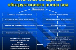 Патогенез апноэ Патогенез апноэ