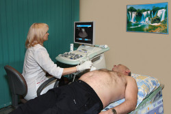 Патология мочевого пузыря и почек Патология мочевого пузыря и почек