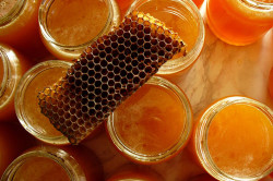 Пчелиный прополис Пчелиный прополис