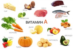Пищевые источники витамина А Пищевые источники витамина А