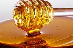 Полезные свойства меда Полезные свойства меда