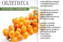 Полезные свойства облепихи Полезные свойства облепихи