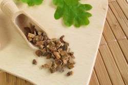 Польза дубовой коры Польза дубовой коры