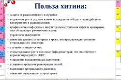 Польза хитина Польза хитина