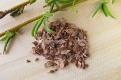 Польза ивовой коры Польза ивовой коры