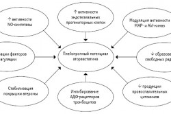 Потенциал аторвастатина Потенциал аторвастатина