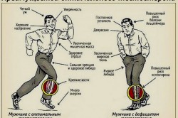 Преимущества оптимального тестостерона Преимущества оптимального тестостерона