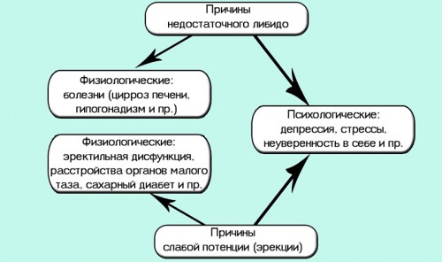 Причины низкого либидо и слабой потенции Причины низкого либидо и слабой потенции