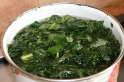 Приготовление отвара из лопуха Приготовление отвара из лопуха