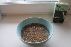 Приготовление пасты из коры дуба Приготовление пасты из коры дуба