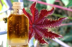 Применение касторового масла Применение касторового масла