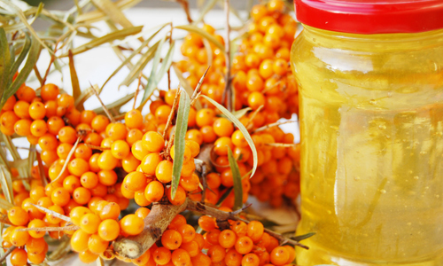 Применение облепихового масла Применение облепихового масла