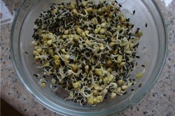 Пророщенный кунжут с гречкой Пророщенный кунжут с гречкой