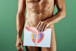 Простатит Простатит