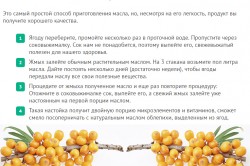 Простой рецепт облепихового масла Простой рецепт облепихового масла