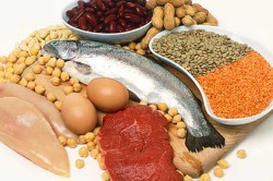 Протеин в продуктах