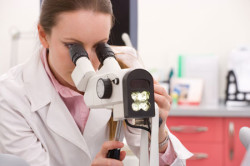 Проведение анализа крови Проведение анализа крови