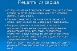 Рецепты из хвоща