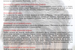 Рецепты против седины Рецепты против седины