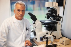 Результаты спермограммы Результаты спермограммы