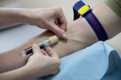 Сдача крови на анализ Сдача крови на анализ