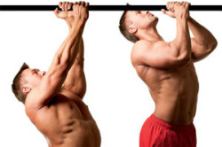 Силовые упражнения Силовые упражнения