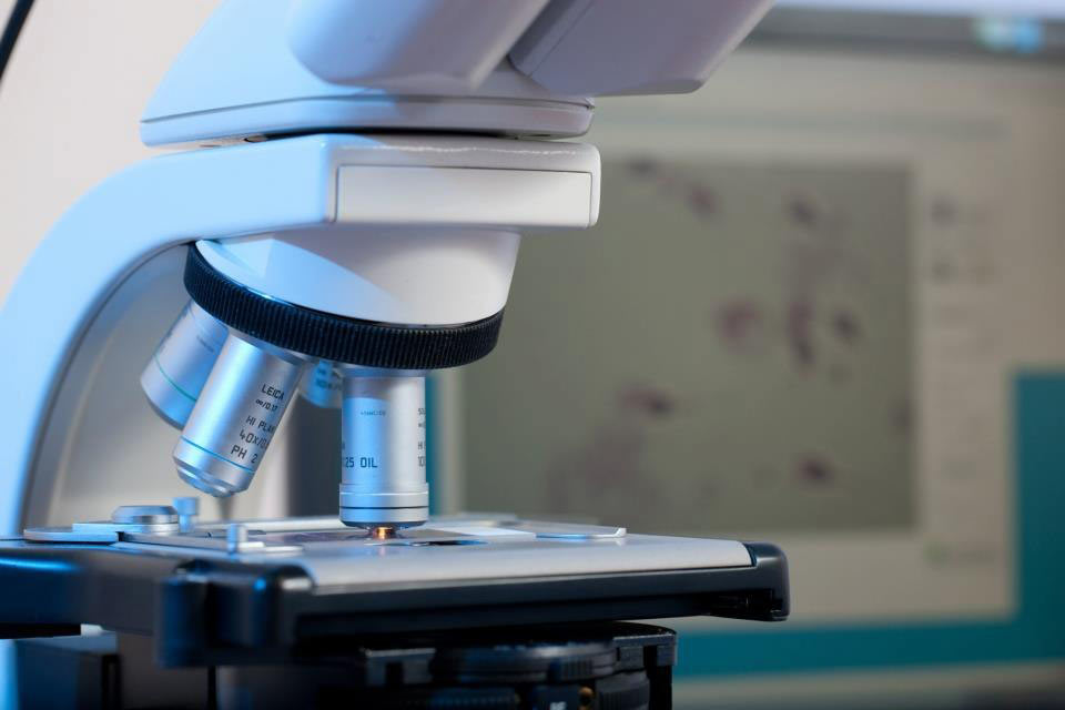 Слизь в анализе спермы Слизь в анализе спермы