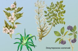 Состав Рестокса