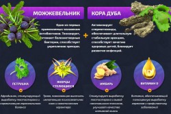 Состав Уретрамола