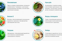 Состав Уротрина Состав Уротрина