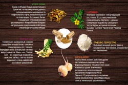 Состав Biomanix