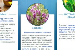 Состав Minusnor Состав Minusnor