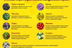 Состав монастырского чая