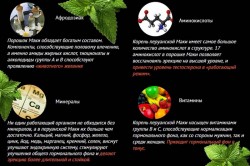 Состав перуанской маки Состав перуанской маки