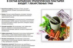 Состав пластыря Состав пластыря