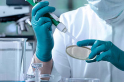 Спермодонорство Спермодонорство