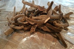 Срезанные рога Срезанные рога