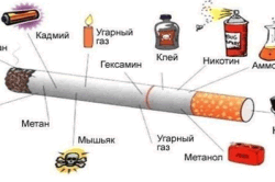 Структура сигареты Структура сигареты