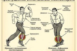 Свойства тестостерона