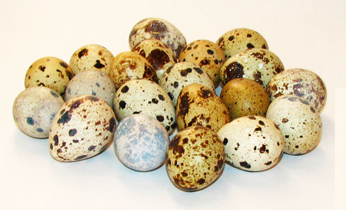 Сырые перепелиные яйца Сырые перепелиные яйца