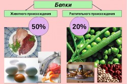 Типы белков Типы белков