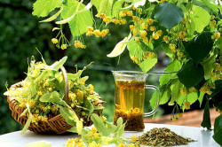 Травяной настой Травяной настой