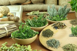 Травяные сборы Травяные сборы